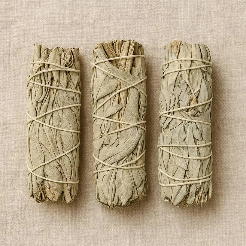 California White Sage — Ethically Harvested, Lab-Verified Purity