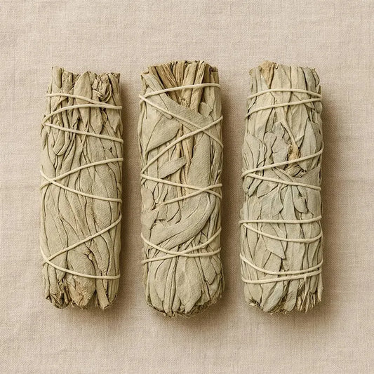 California White Sage — Ethically Harvested, Lab-Verified Purity